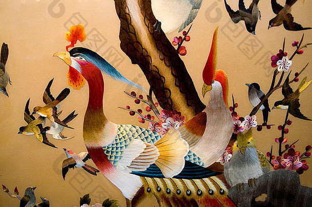 色彩斑斓的刺绣鸟中国