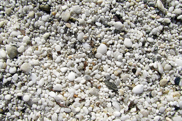 轮白色鹅卵石海滩海杂草
