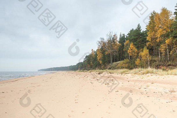 海岸线波罗的海海海滩岩石沙子沙丘云