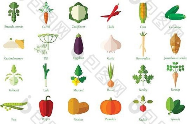 集蔬菜平图标