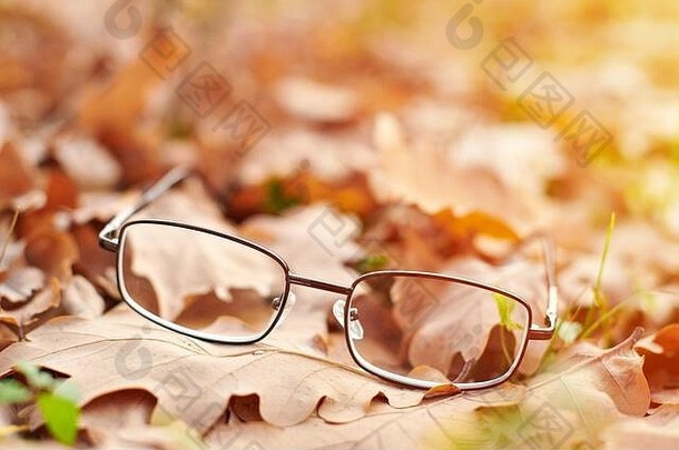 眼镜秋天树叶秋天愿景损失概念维生素缺乏年龄