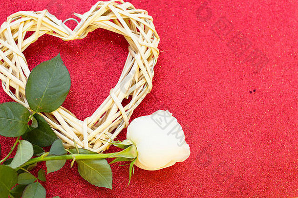情人节概念白色玫瑰