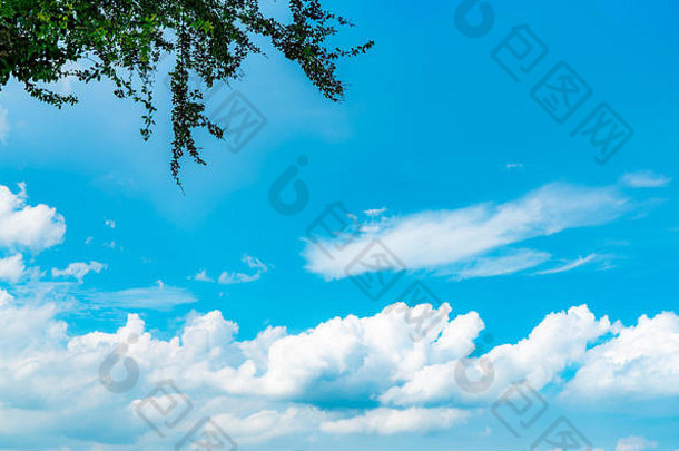 美丽的蓝色的天空白色积云云摘要背景Cloudscape背景蓝色的天空白色云阳光明媚的一天自然天气明亮的