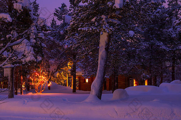 早期早....冬天森林日志房子树圣诞节加兰很多雪