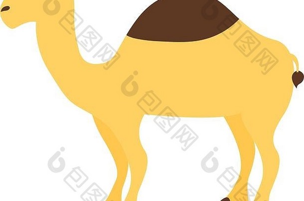 骆驼动物沙漠白色背景