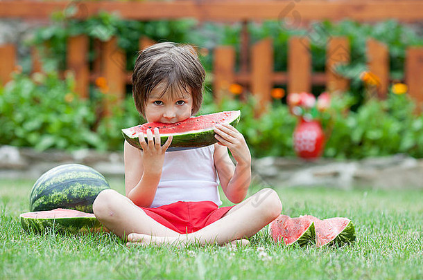 甜蜜的男孩吃西瓜花园夏季