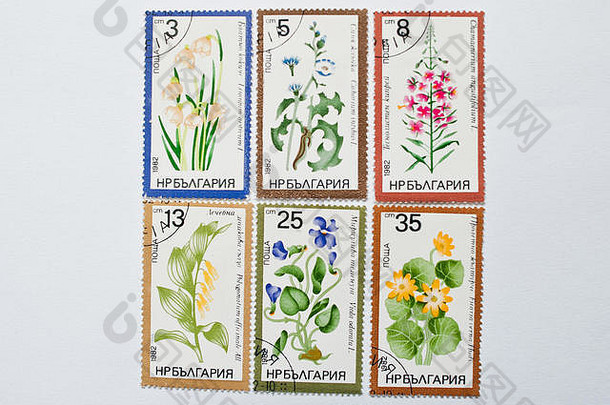 乌日哥罗德乌克兰约集合邮资邮票印刷保加利亚显示Herbal花约