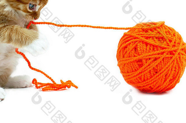 小猫玩橙色球羊毛拍摄白色背景