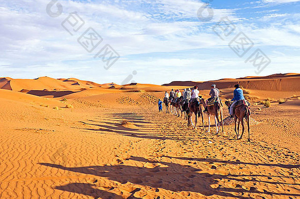 骆驼商队沙子沙丘撒哈拉沙漠沙漠摩洛哥