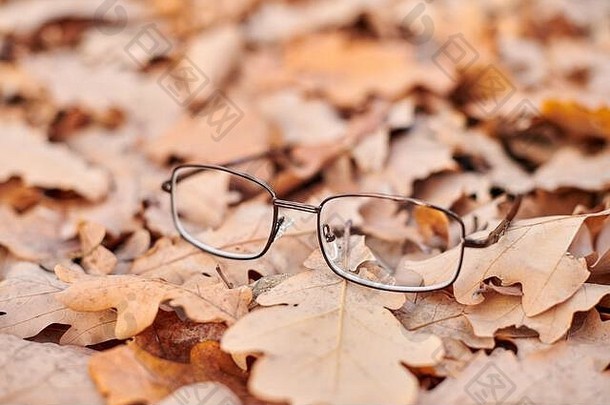 眼镜秋天树叶失去了眼镜象征突然愿景损失维生素缺乏年龄