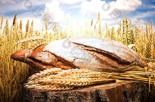 面包<strong>小麦</strong>麦片作物麦片作物背景