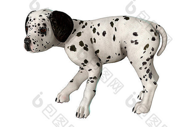 数字渲染达尔马提亚小狗孤立的白色背景