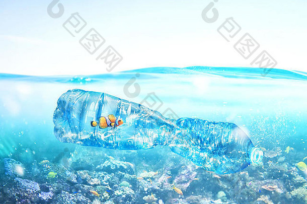 鱼被困内部瓶问题塑料污染海概念