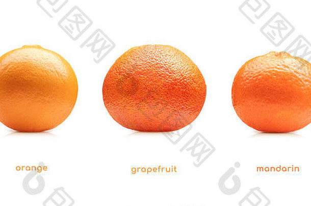 橙色葡萄柚普通话水果集孤立的白色背景