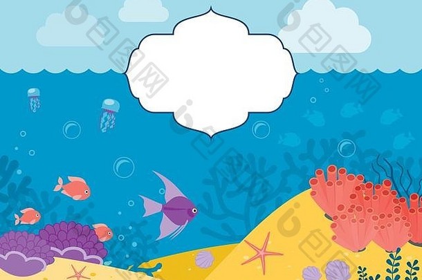 水下背景背景海洋动物
