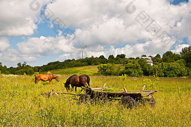 放牧马传统的乌克兰马车前景基辅切尔诺贝利核事故乌克兰