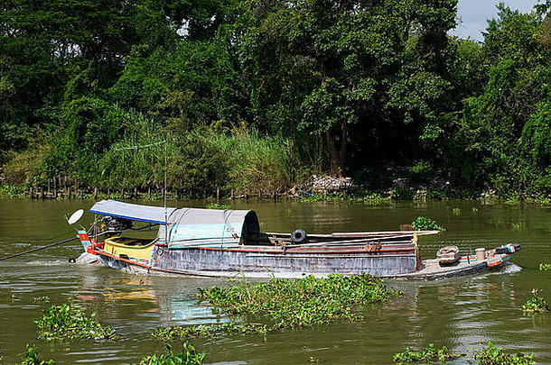 严重加载河船潮praya河ayuttaya泰国集群水风信子浮动