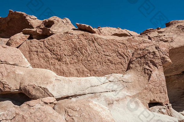 古老的岩画岩石yerbas良好阿塔卡马沙漠智利