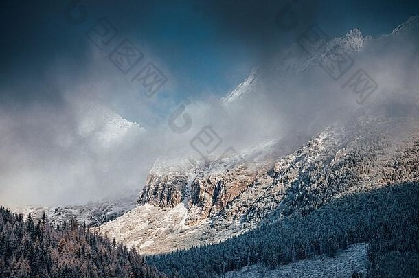 冬天山白色森林阿尔卑斯山脉瑞士