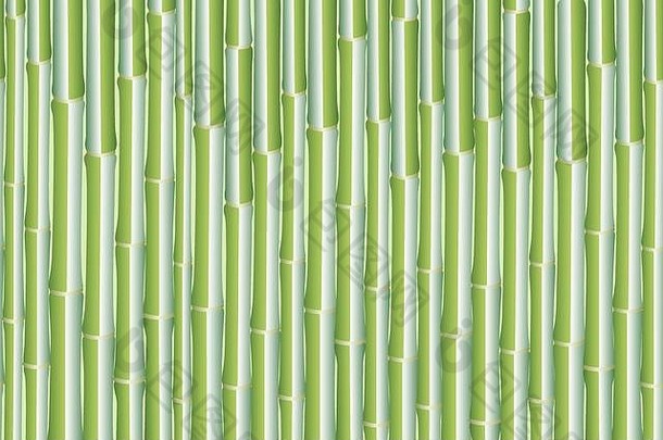 无缝的背景竹子植物