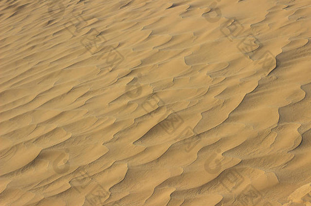 令人惊讶的是细粒子撒哈拉沙漠沙漠金沙子创建无缝的模式微型沙丘创建风