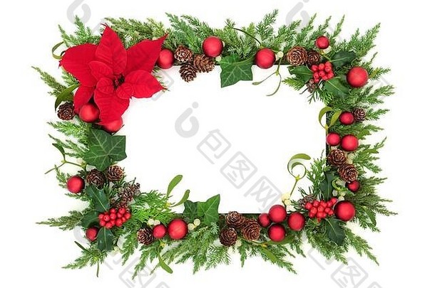 感恩节<strong>圣诞</strong>节节日边境红色的一品红花小玩意装饰冬天绿色植物白色背景