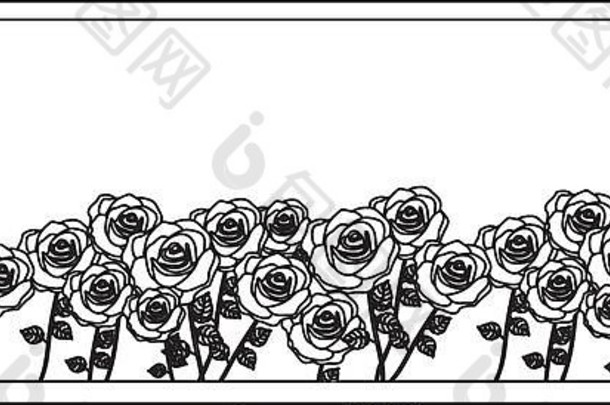 轮廓矩形框架玫瑰花园花设计