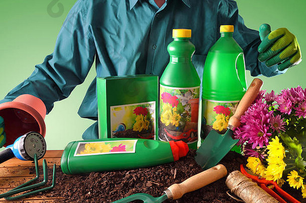 工人瓶容器园艺产品增长植物花植物装饰绿色梯度背景