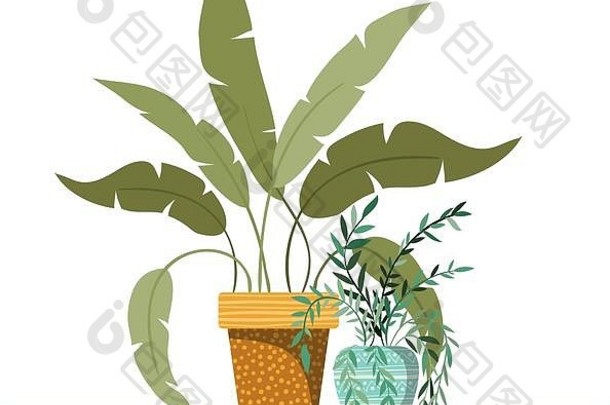 室内植物盆栽孤立的图标