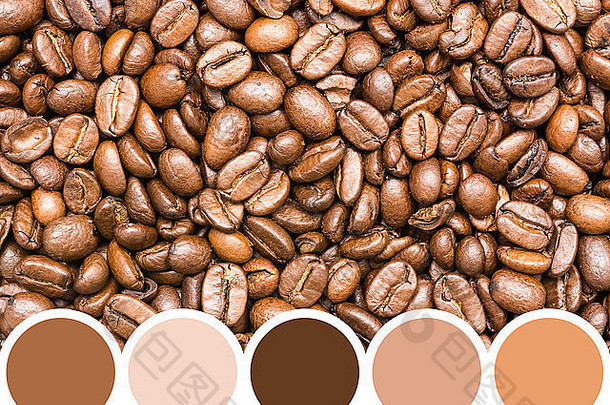 颜色调色板新鲜的烤咖啡豆子