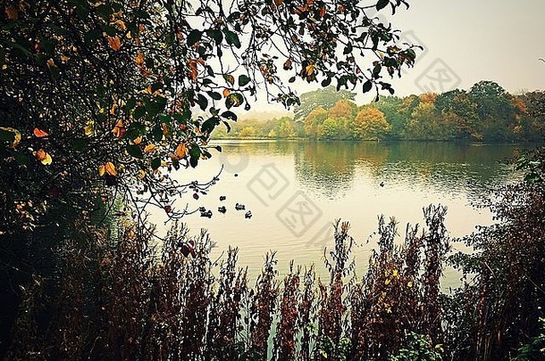 秋天视图湖早期早....