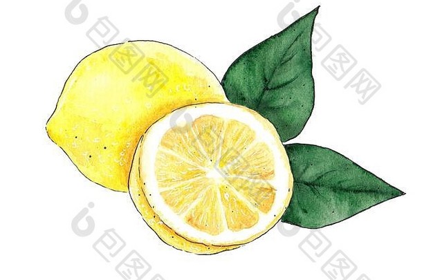 水彩黄色的柠檬食物孤立的白色背景插图画有创意的图形设计元素
