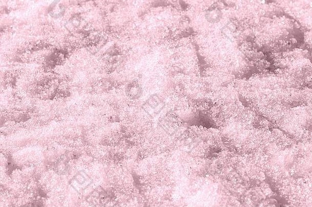 春天雪纹理关闭摘要冬天背景粉红色的颜色健美的