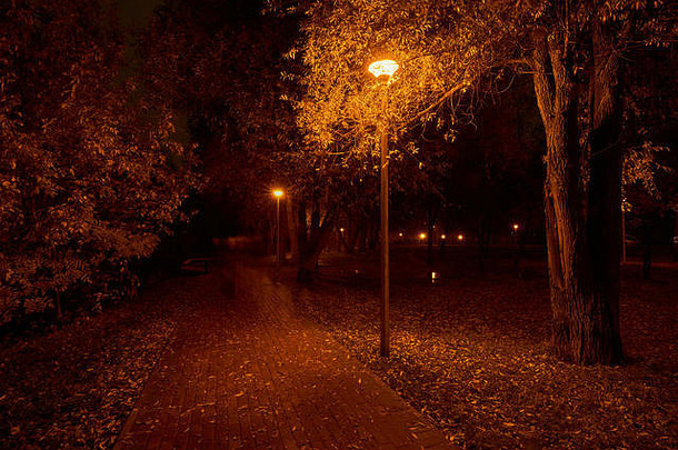 晚上公园街灯公园亚乌扎河巴布什金斯基区莫斯科人走通路幻影