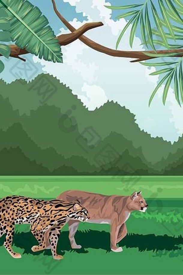 豹猫科动物热带动物植物区系景观