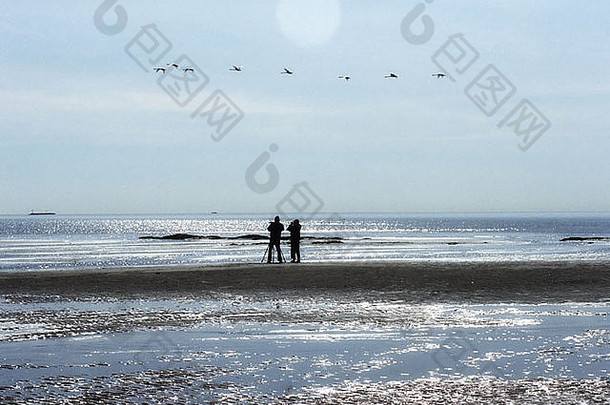 鸟摄影师采取<strong>图片</strong>海岸线罗德岛海滩鸟飞行