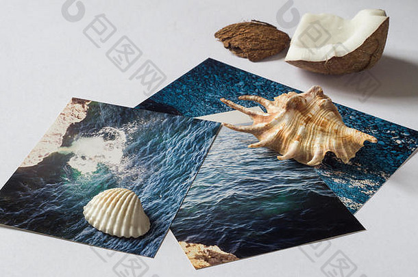 贝壳图片图片海白色表面