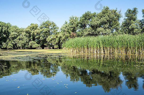 多瑙河河δ美丽的景观罗马尼亚多布罗吉亚联合国教科文组织生物圈储备