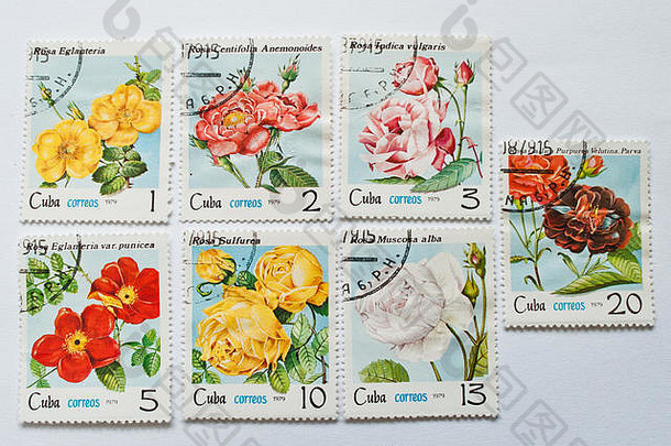 乌日哥罗德乌克兰约集合邮资邮票印刷古巴显示玫瑰花约