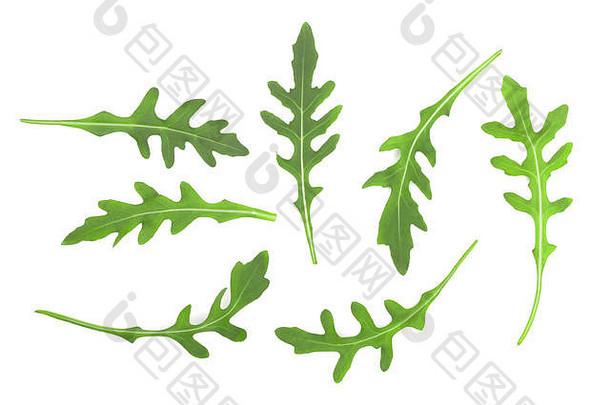 绿色新鲜的rucola芝麻菜叶孤立的白色背景前视图平躺模式
