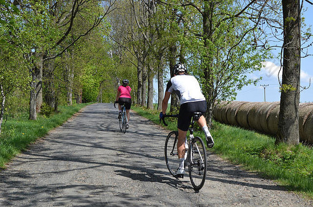 春天自行车骑树大道年轻的夫妇自行车骑树大道美丽的春天一天