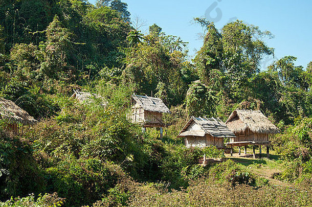 房子老挝丛林
