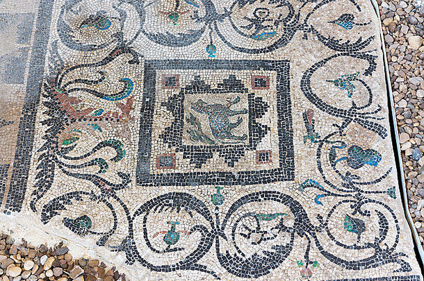细节马赛克地板上别墅鸟东罗马音乐厅来迪卡亚历山大北海岸埃及