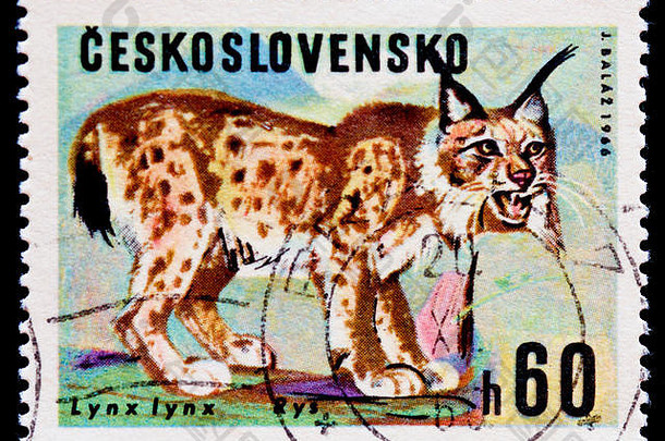捷克斯洛伐克邮资邮票欧亚猞猁