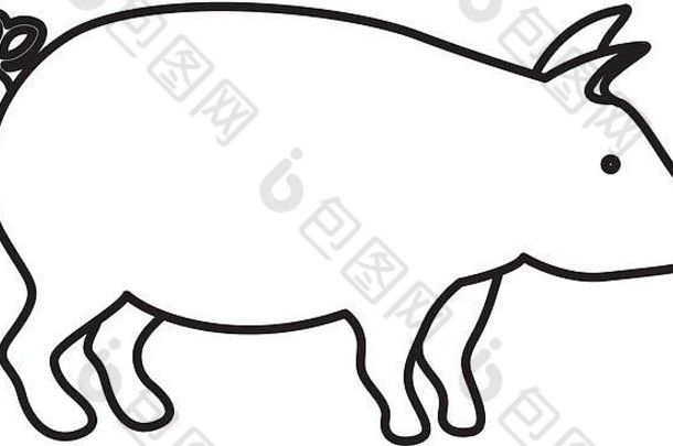 孤立的猪肉设计