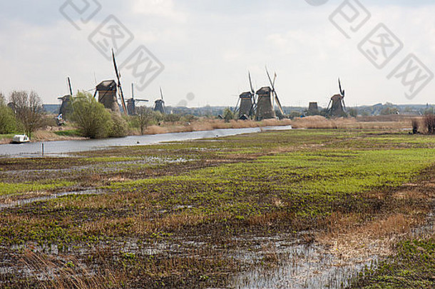 传统的风车荷兰湿地