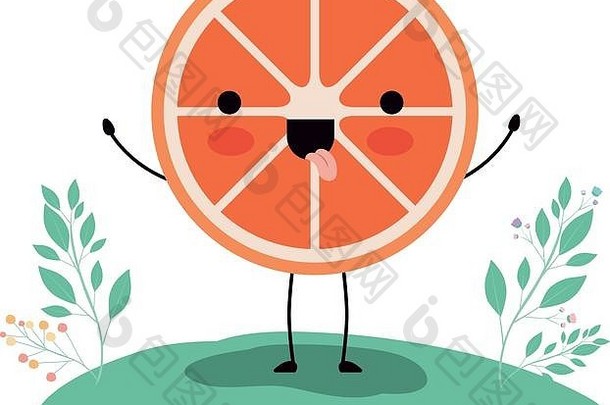橙色场新鲜的柑橘类水果