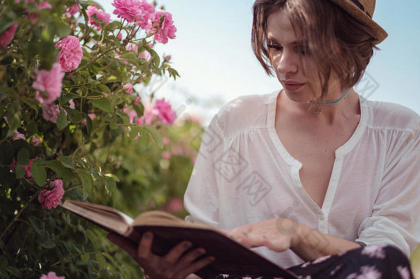 美丽的女孩穿他书坐着草玫瑰街国家女孩享受日落酒阅读书香玫瑰嘎嘎