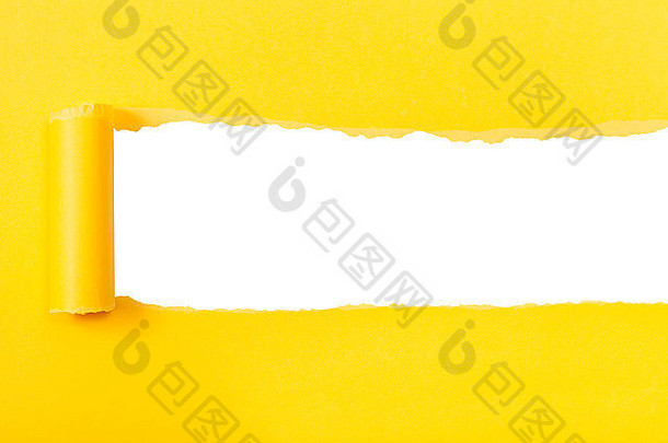 黄色的卷起来的撕裂纸白色孤立的背景