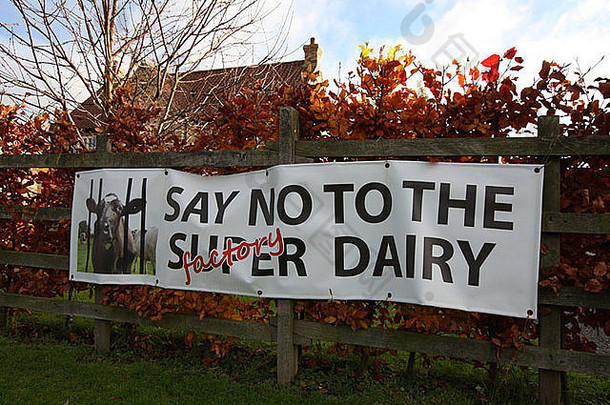 提出了建设英国的最大乳制品农场提出了巨大的威胁动物<strong>福利</strong>诺克顿乳制品